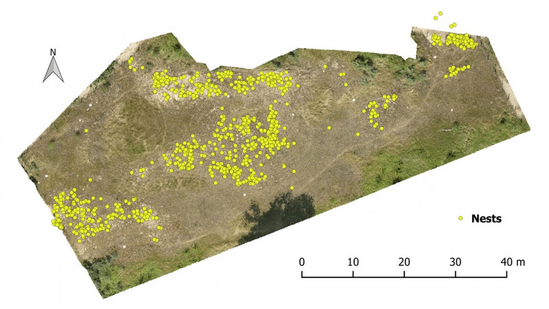 Een drone-luchtfoto van het onderzoekterrein met de aanwezige harkwespnesten aangeduid.