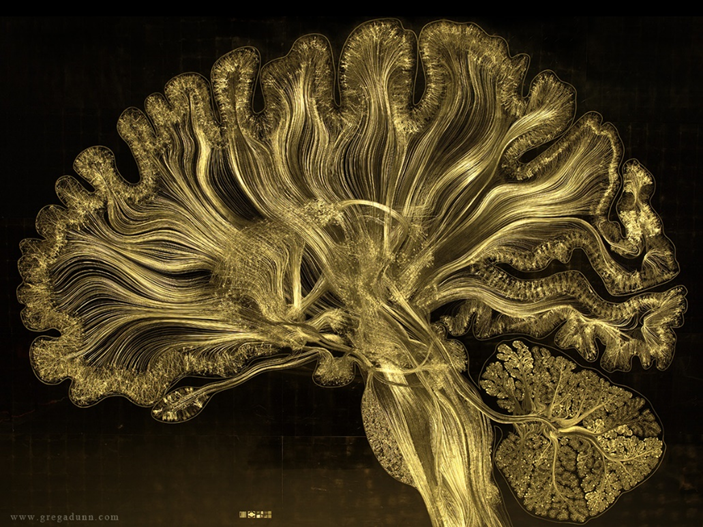 Figuur 1: Artistieke impressie van neuronen in de hersenen