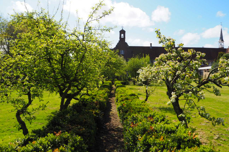 een met fruitbomen omringd pad leidt naar het klooster