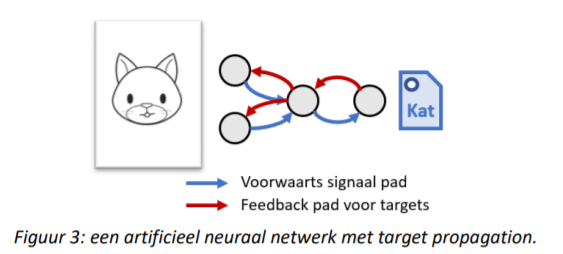 een artificieel neuraal netwerk met target propagation