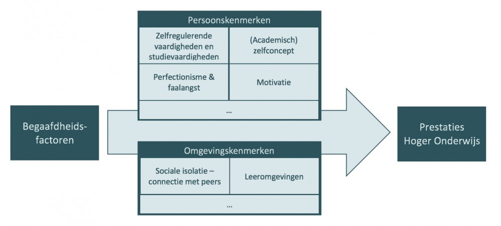 Visuele voorstelling bevindingen literatuur