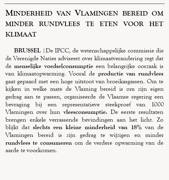 voorbeeld verzonnen krantenartikel