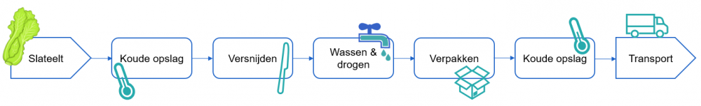 Stroomschema met de belangrijkste processtappen voor minimaal verwerkte bladgroenten.