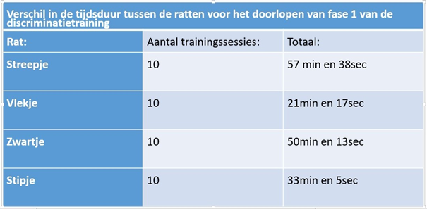 afbeelding 33
