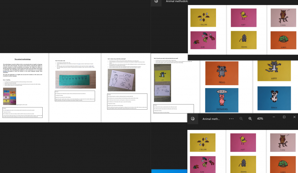 Explanation + animal cards of the animal methodology
