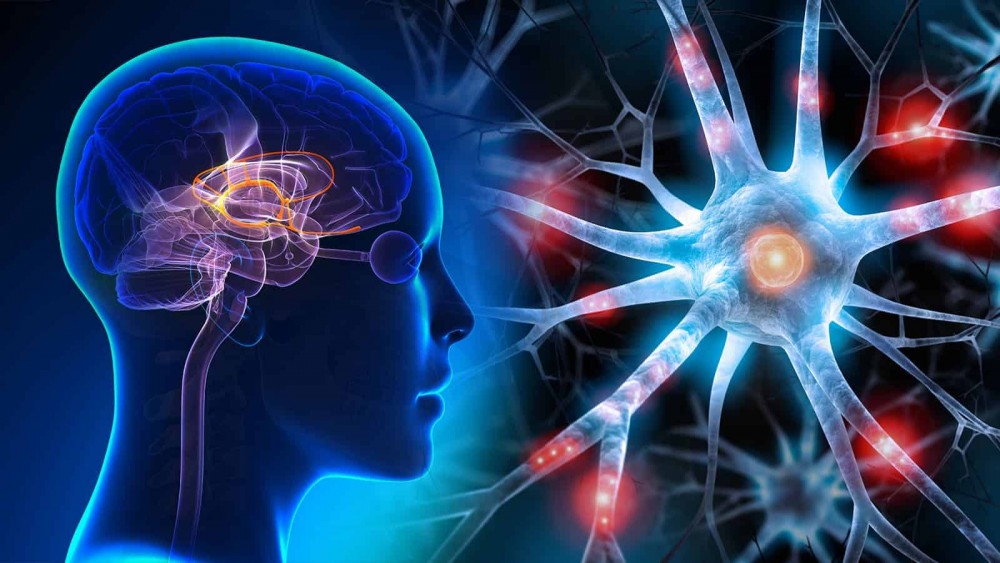 Artistieke brain visual
