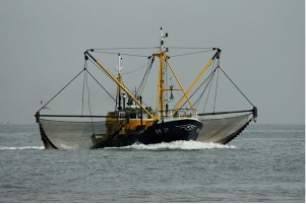 Visserij in de Noordzee