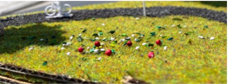 Bloemenweide vanop de maquette