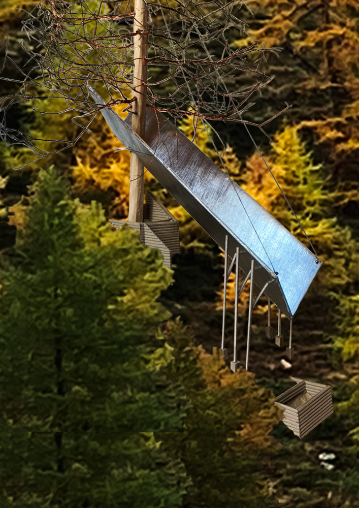 sfeerbeeld eerste ontwerp (Larix Decidua)