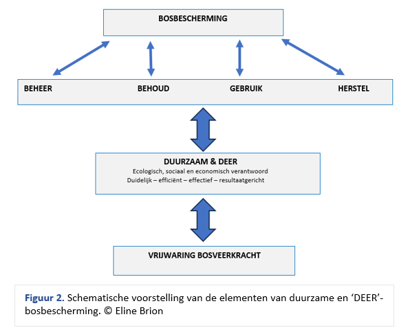 Figuur 2. Schematische voorstelling van de elementen van duurzame en ‘DEER’-bosbescherming. © Eline Brion