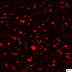 image-20230928121116-1