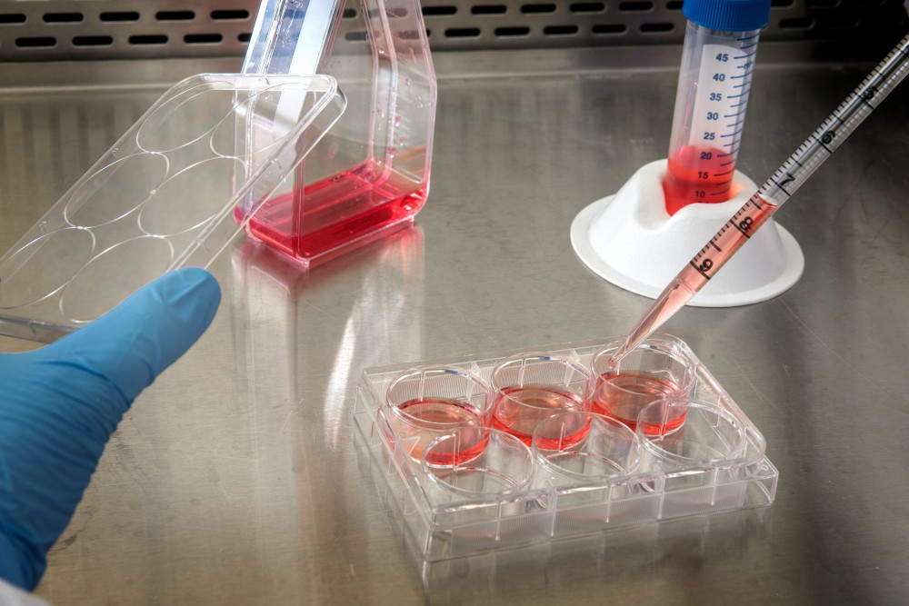 Cell culture illustration