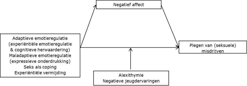 Schematische weergave van de hypothesen