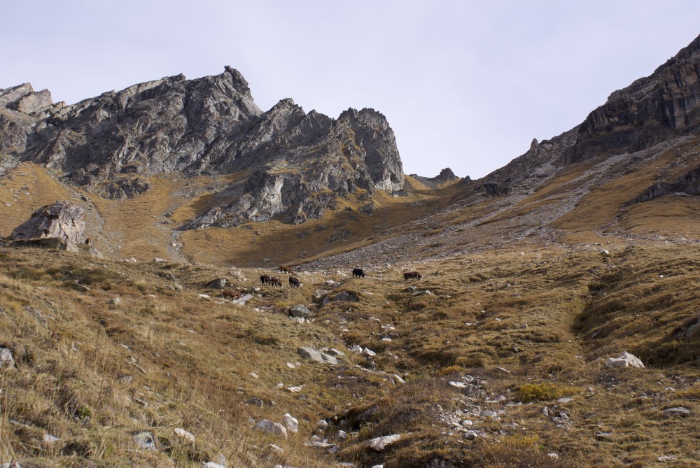 Valle d' Aosta