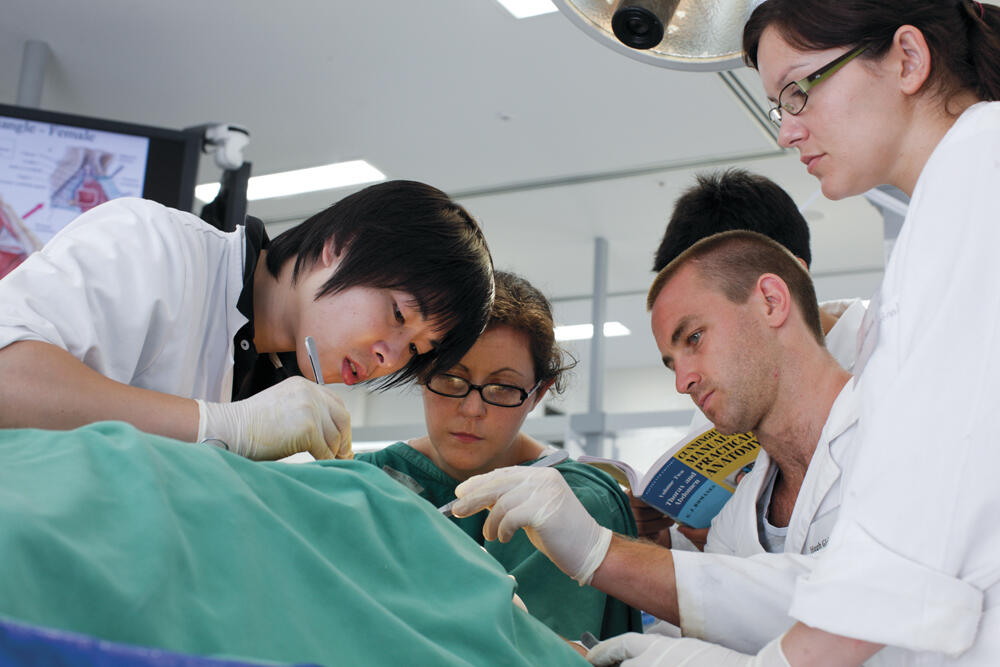 Dissecties
