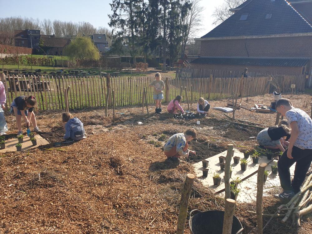 Leerlingen helpen mee aan de inrichting van de bijenhoek. Zo wordt de schoolomgeving zelf onderdeel van het leerproces.