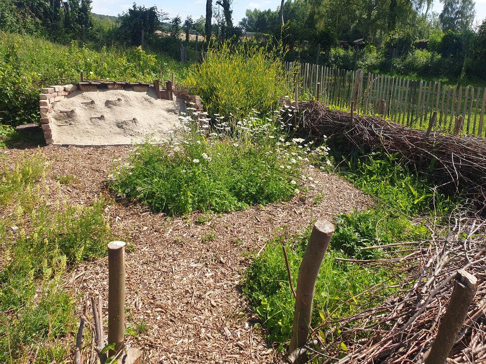 De afgewerkte bijenhoek combineert voedsel, nestgelegenheid en natuurlijke structuren in een blijvende leeromgeving.
