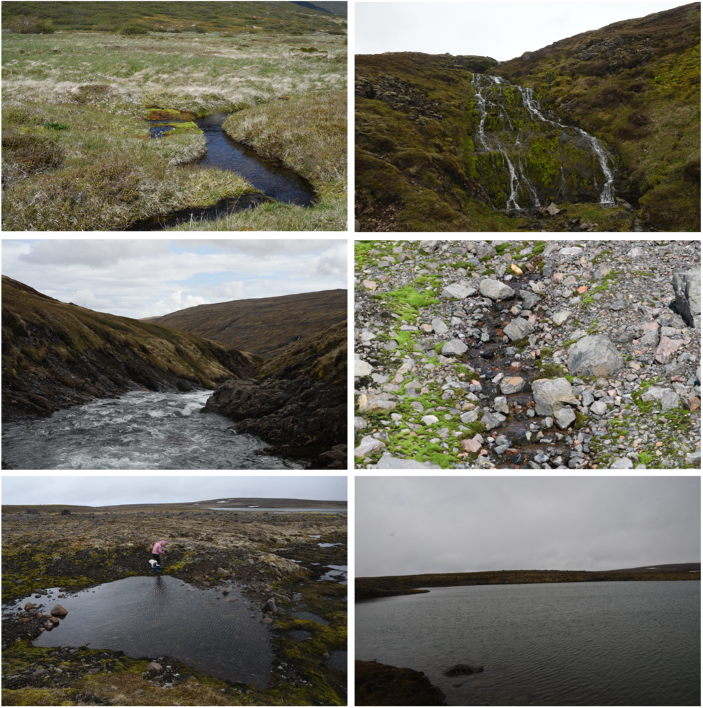 Verschillende leefomgevingen in de Westfjorden van IJsland waar diatomeeënmonsters werden verzameld.