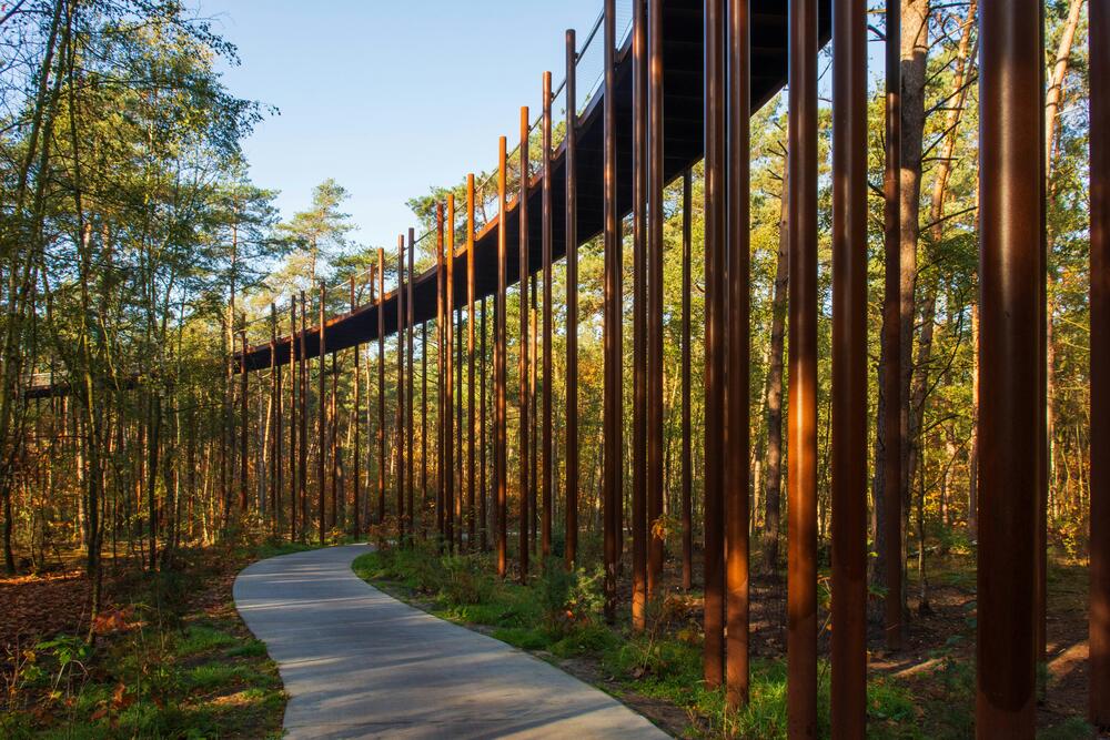 Fietsen tussen de Bomen