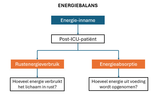 Schema van de energiebalans bij post-ICU-patiënten met de twee onderzoeksvragen uit de thesis: rustenergieverbruik en energieabsorptie.