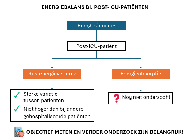 Overzicht van de belangrijkste conclusies: grote variatie in rustenergieverbruik tussen post-ICU-patiënten, geen hoger gemiddeld rustenergieverbruik dan bij andere gehospitaliseerde patiënten en nog geen onderzoek naar energieabsorptie.