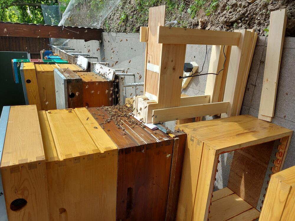 Opstelling pollen monitoring