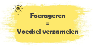 Foerageren = Voedsel verzamelen