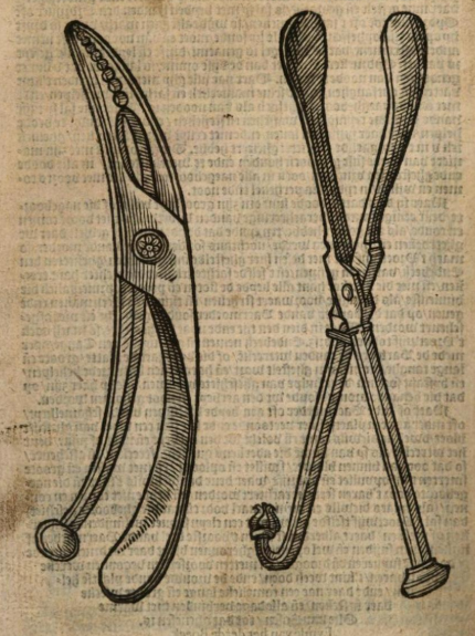 Instrumenten. Maarten Everaert, t’ Boeck vande Vroet-Wijfs (Amsterdam: Cornelis Claesz., 1591), f. 28v.. 