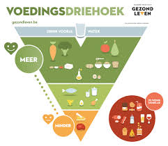 De Voedingsdriehoek door Gezond Leven uit 2017