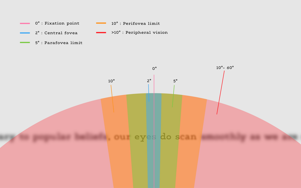 Gezichtsveld van één oog, met de verschillende hoekbereiken (fovea, parafovea, perifovea en perifere zone) en hun overeenkomstige niveaus van gezichtsscherpte. 