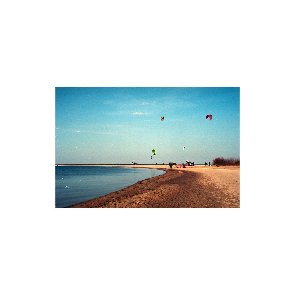 analog photos