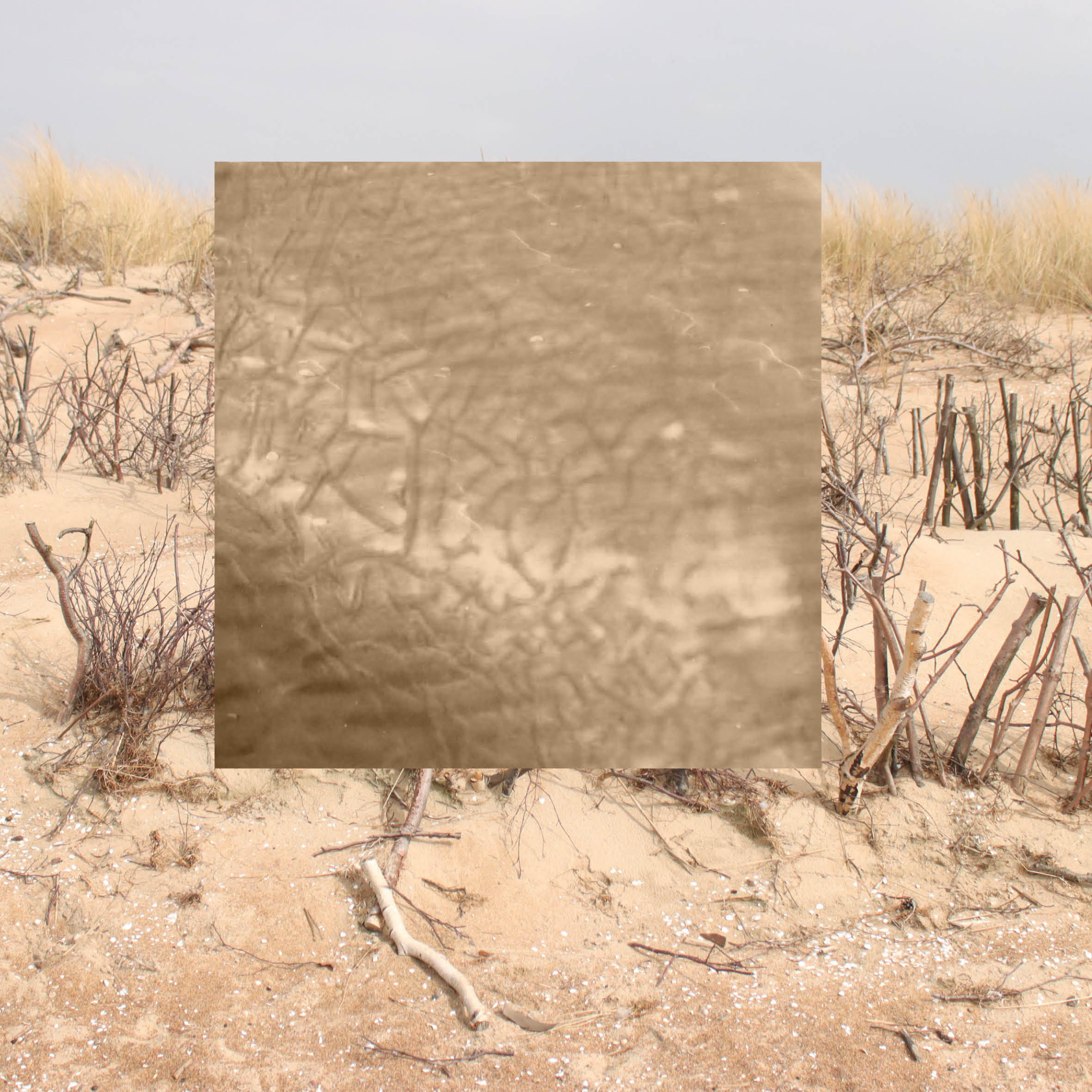 concept - water on land