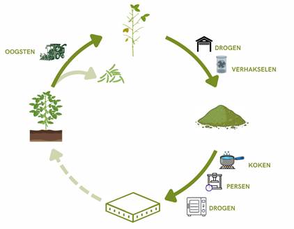 Bonenstengels in een circulaire bouwketen