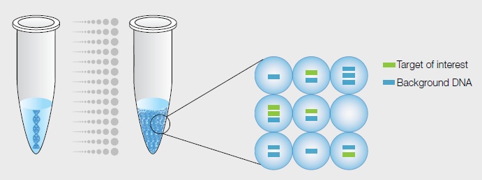 Introduction to Digital PCR | Bio-Rad