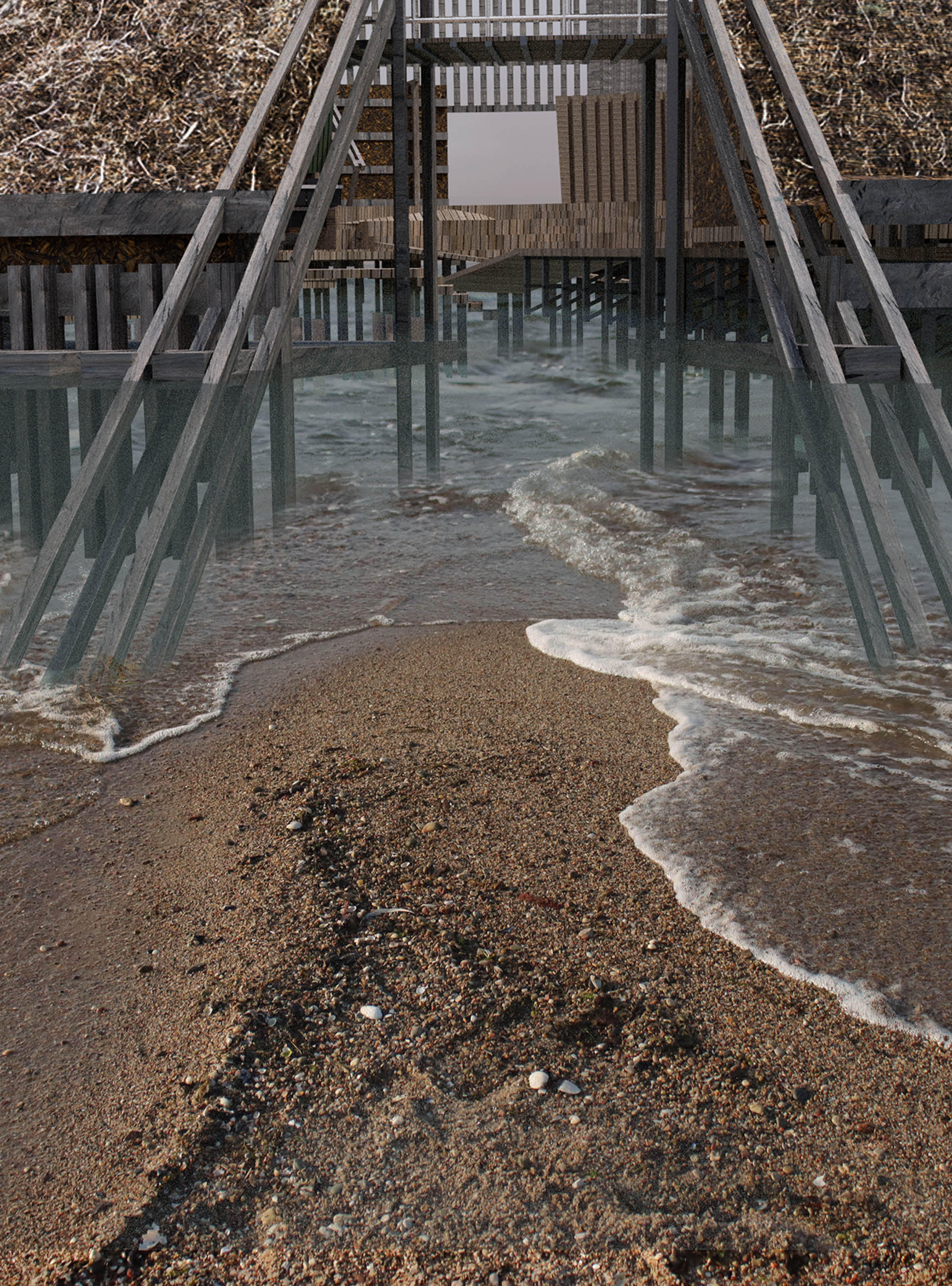 sequence 5 - level of water is very low, you’re stepping on wet sand